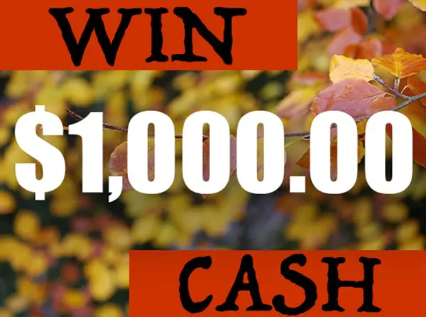 Love’s Customer Survey Sweepstakes: Win $1000 Cash!