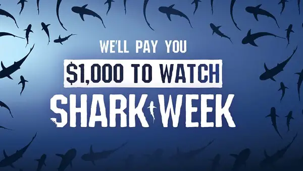 Shark Week Cash Sweepstakes 2020