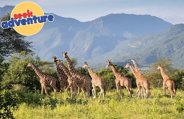 Omaze Kenya Trip Sweepstakes