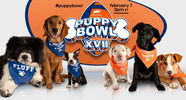 Discovery Puppy Bowl 2021 Sweepstakes