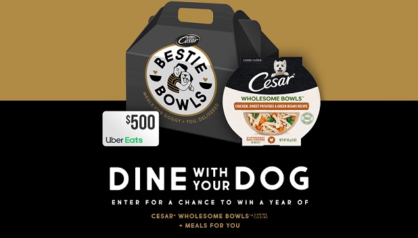 Cesar Bestie Bowls Dog Photo Sweepstakes