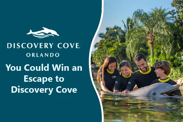 Discovery Cove Photo Contest 2021