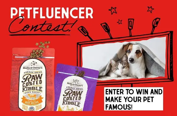 Stella & Chewy's Petfluencer Pet Photo Contest: Win Free Dog Food & Pet Supplies