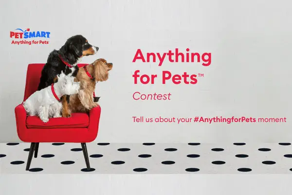 PetSmart Photo Contest 2021