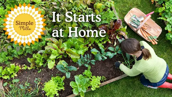 Simple Mills $1k Garden Sweepstakes (10 Winners)