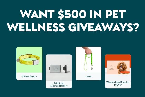 $500 Pet Wellness Giveaway