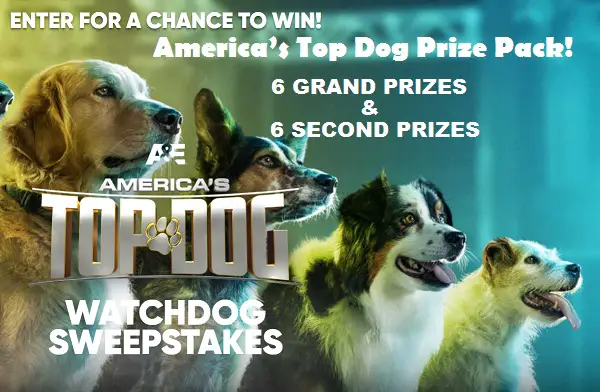 A&E - America's Top Dog Sweepstakes 2021: Win Prizes for Pets