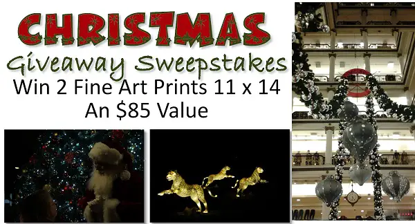 Win 2 Fine Art Photograph Prints!