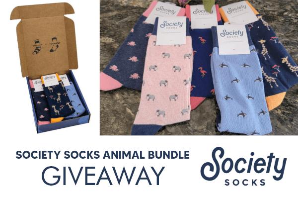 Society Socks Animal Bundle Giveaway