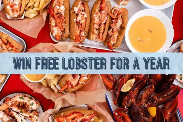 National Lobster Day Giveaway