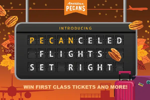 American Pecanceled Flights Set Right Promotion