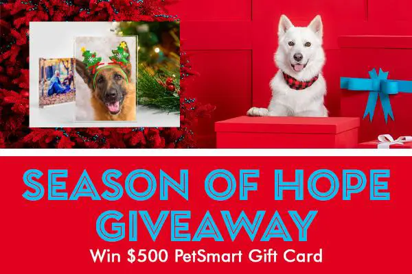 Season of Hope Giveaway: Win $500 PetSmart Gift Card