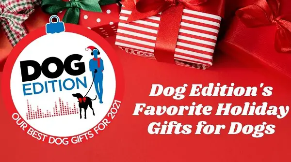 WIN All the Best Dog Gifts for 2021