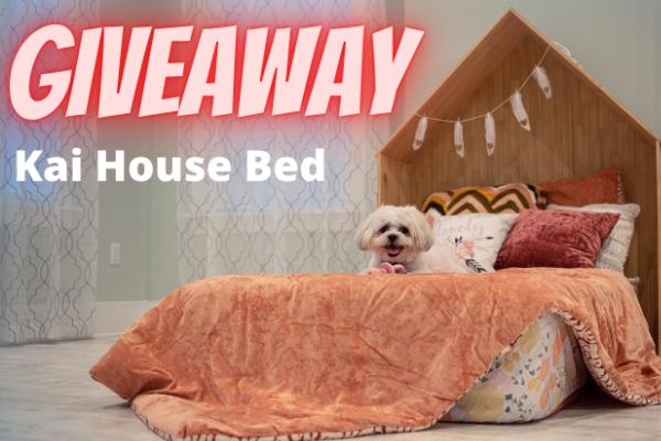 Win Kai House Bed sweepstakes