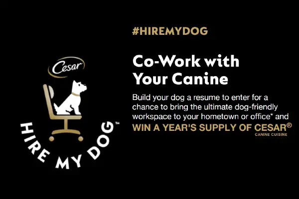 Cesar Hire My Dog Contest 2022: Win 1-Year Supply of dog food (16 Winners)