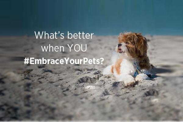The Embrace Pet Insurance Sweepstakes