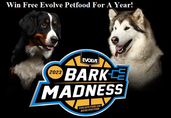Evolve Petfood Giveaway: Win Free Pet food for a Year & Yeti Pet Supplies