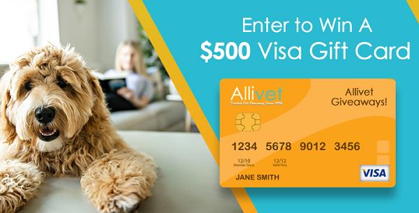 Allivet - $500 Visa Gift Card Giveaway