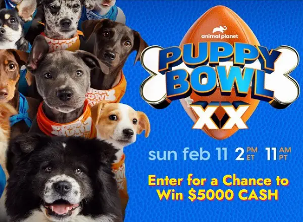 Puppy Bowl Kitty Halftime Sweepstakes 2024: Win $5000 Cash!