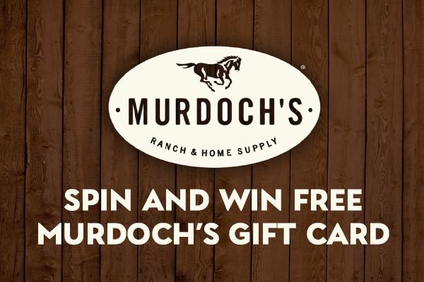 Spin and Win Free Murdoch’s Gift Card
