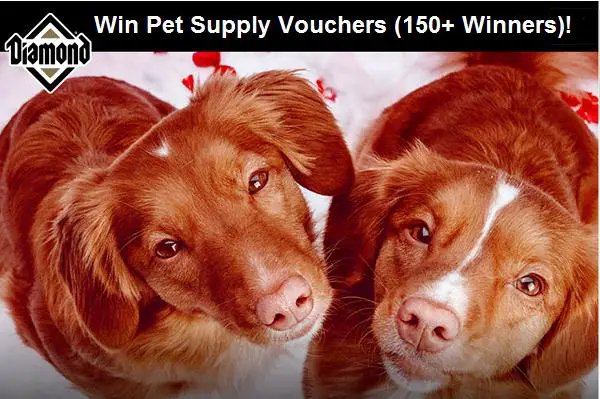 Win Diamond Pet Food for Free (176 Winners)
