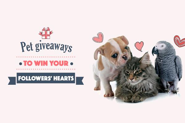 Pet Photo Contest 2022: Win Free Pet Care Products
