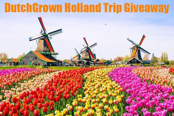 DutchGrown Holland Trip Giveaway