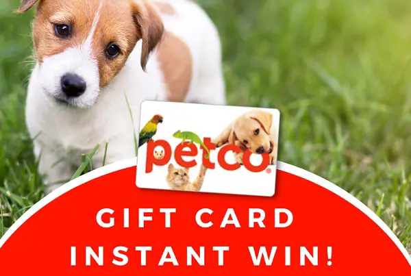 AARP Rewards Petco Game Gift Card Giveaway (600 Winners)