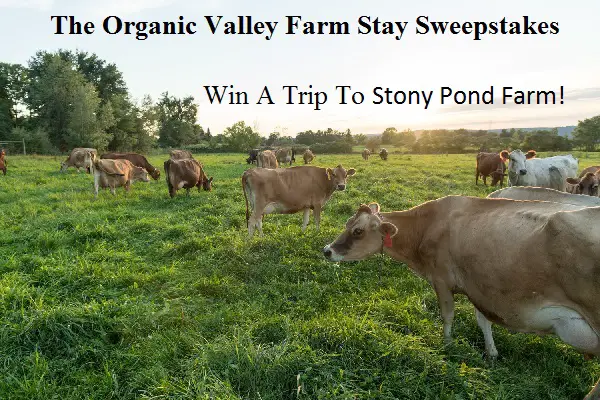 Organic Valley Vacation Sweepstakes: Win A Trip & Free Products