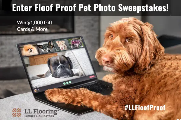 Win $3,600 Free Pet Supply Gift Card Giveaway (3 Winners)!