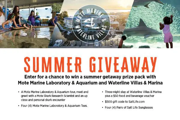 Salt Life and Mote Aquarium Summer Giveaway