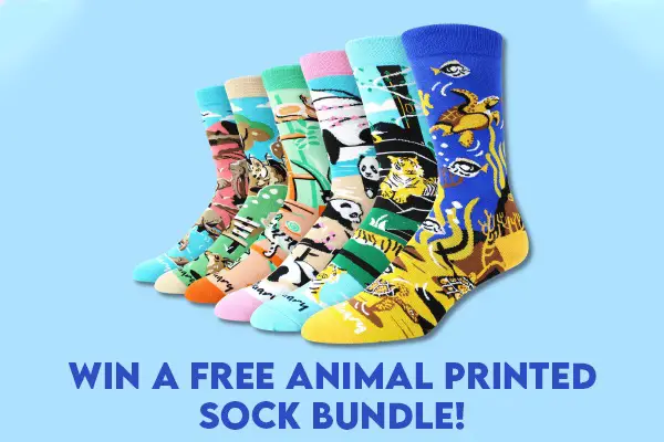 Win Free Socks Bundle Giveaway