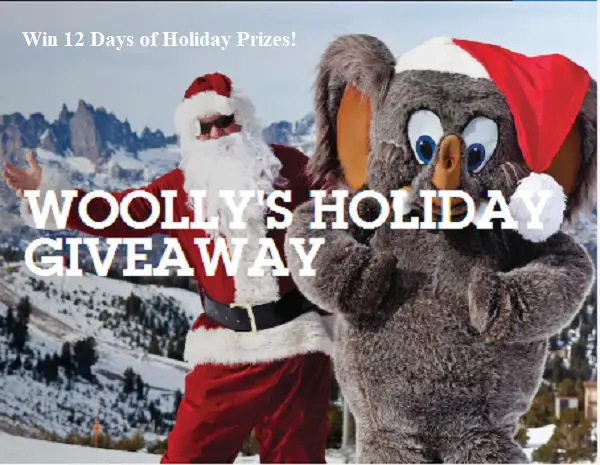 10 Days of Holiday Giveaway: Win Free Electric Bike, Travel Bag & More