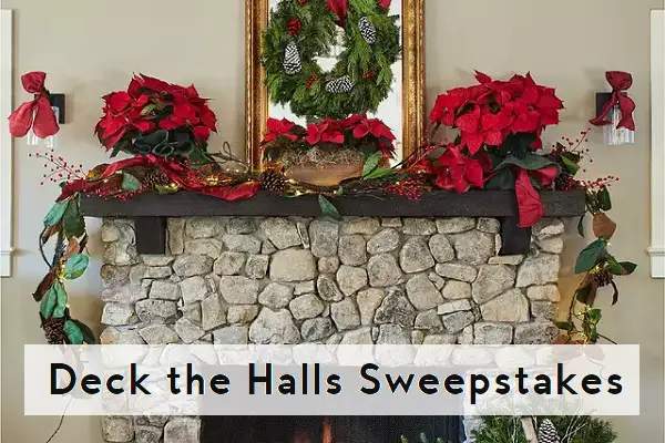 BHG Flash Sweepstakes: Win Holiday Flowers!
