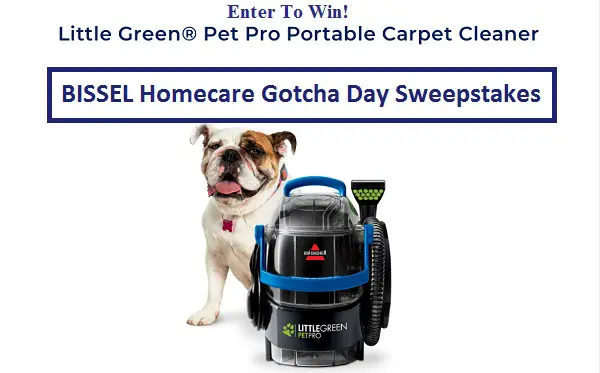 Bissel Pet Sweepstakes 2022: Win A Free Carpet Cleaner (300 Winners)