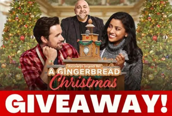 Food Network Holiday Movie Swag Giveaway: Win Free Movie Swag! (Daily 5 Winners)
