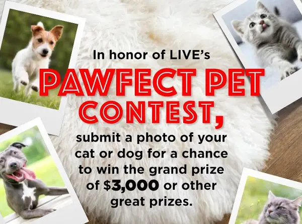 Kelly And Ryan Pet Photo Contest 2022: Win Cash Up To $3,000
