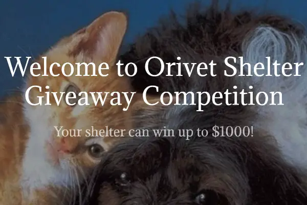 Orivet Pet Photo Contest 2022: Win Up To $1000 Free Amazon Gift Cards