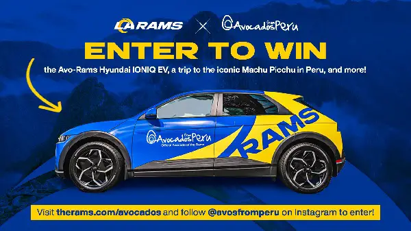 Therams.com Avacado Hyundai Ioniq Car Giveaway