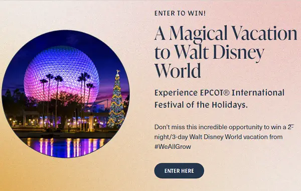 Free Walt Disney World Vacation Giveaway 2022