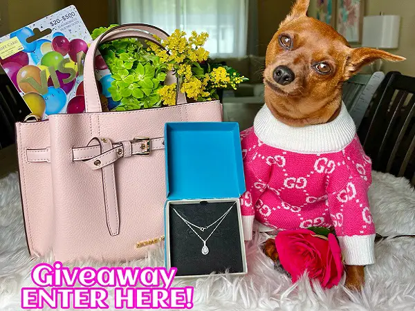Win Diamond Necklace and Visa Gift Card