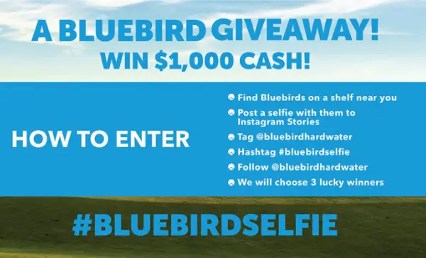 Bluebird Selfie Giveaway: Win $1,000 Cash Prize