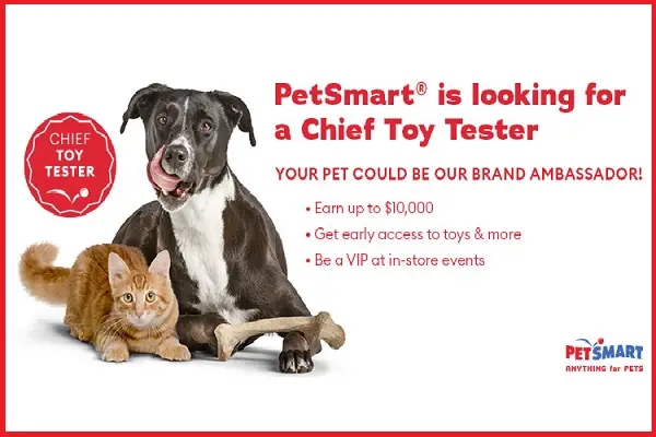 Anything For Pets Chief Toy Tester Contest: Win Free Pet Supply for a Year