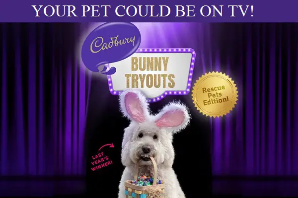 Cadbury Tryouts Pet Photo Contest: Win $10,000 Cash & Television Appearance of Pet