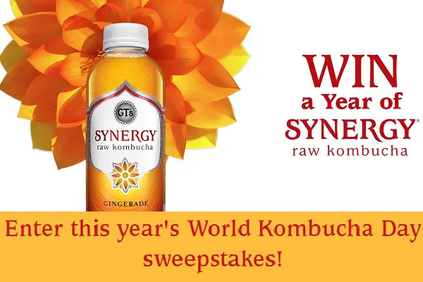 Win Free Synergy Kombucha for a Year (1000+ Winners)
