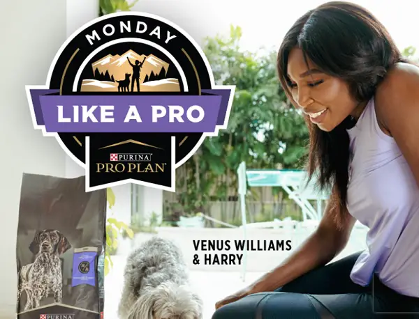Monday Like a Pro Challenge: Win Purina Pro Plan Dry Dog Food for a Year (10 Winners)
