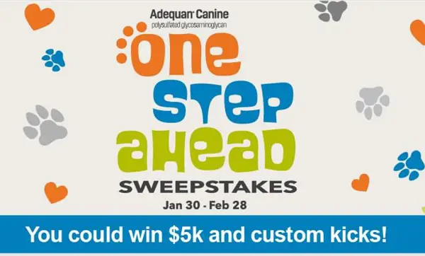 One Step Ahead Sweepstakes: Win $5K Cash, Free Nike Shoes & Pet Supplies