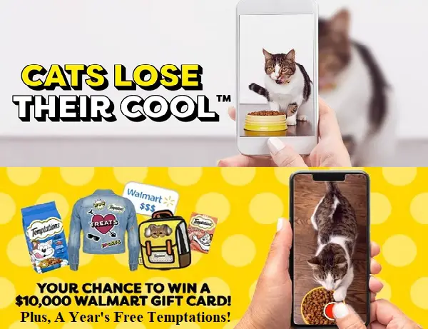 Temptations Cats Lose Their Cool Contest: Win $10K Walmart Gift Card & 1-Year of Cat Food