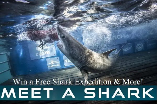 Meet a Shark Trip Giveaway: Win a Trip for Ocearch Shark Expedition & Free Merchandise