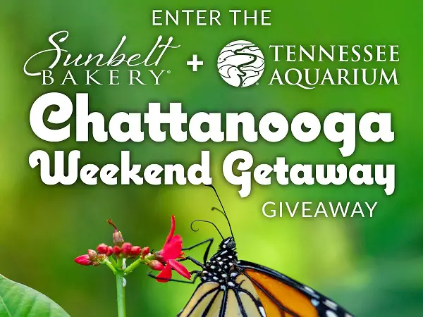 Sunbelt Bakery Aquarium Giveaway: Win Chattanooga Weekend Getaway